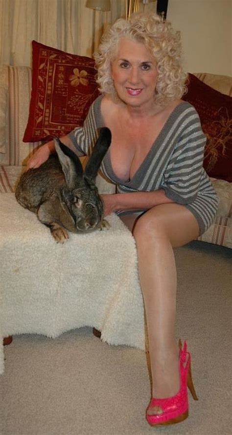 Darius Worlds Biggest Rabbit Stolen From Its Worcestershire Hutch Birmingham Live
