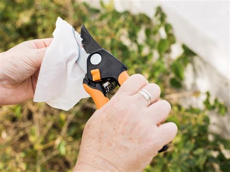 How To Clean And Care For Your Garden Tools In 8 Easy Steps Hgtv