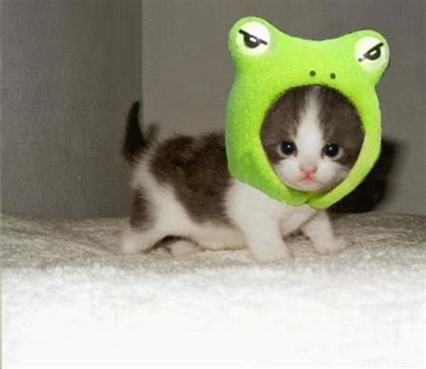 100 Adorable Things That Will Make You Smile