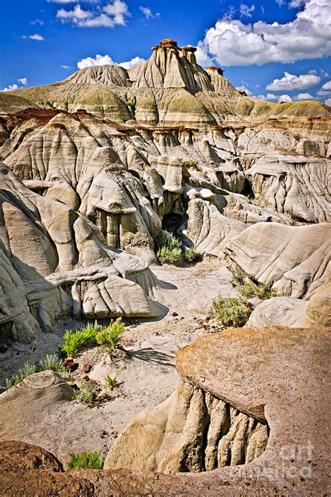 Kanada im winter roadtrip durch die kanadischen rockies via banff. Badlands in Alberta Photograph by Elena Elisseeva