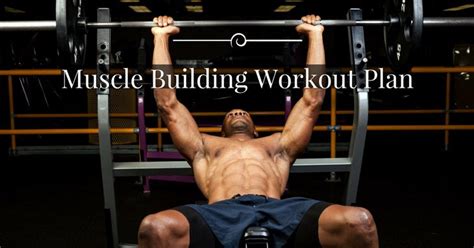 Check Out The Best Muscle Building Workout Plan For The