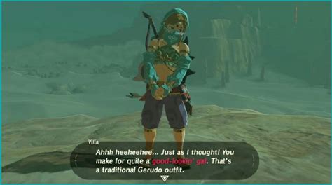 Link Wearing Female Gerudo Clothing In A Screenshot From Breath Of The