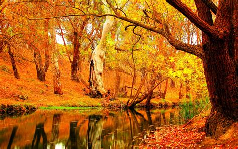 10 Images About Autumn Fall On Pinterest 20e