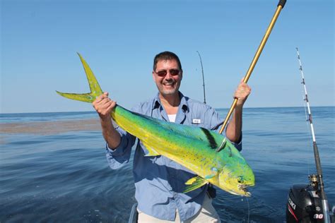 Maybe you would like to learn more about one of these? KISS Mahi-Mahi Fishing - Texas Fish & Game Magazine
