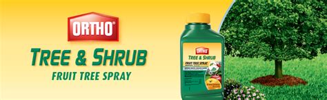 Annual tree & shrub insect control conc. Amazon.com : Ortho Tree & Shrub Fruit Tree Spray, 16-Ounce ...