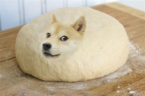 Shibe Doge The Twinkie Roblox Doge Meme On Meme