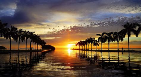 Sunset Beach Sky Sunlight Palm Trees Hd Wallpaper