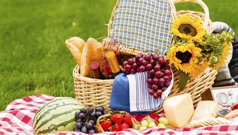 Picknick synonyms, picknick pronunciation, picknick translation, english dictionary definition of picknick. Picknick-Spezial