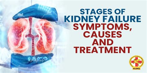 What Are The Stages Of Kidney Failure And How To Prevent It