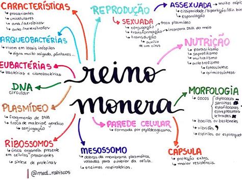 Biologia Google Drive Reino Monera Ensino De Biologia Estudos