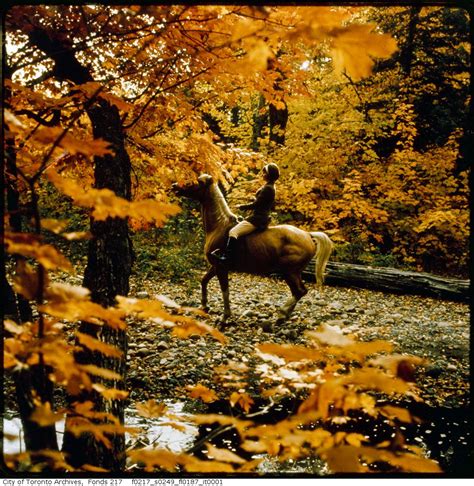 Vintage Autumn Photographs From Toronto And Ontario