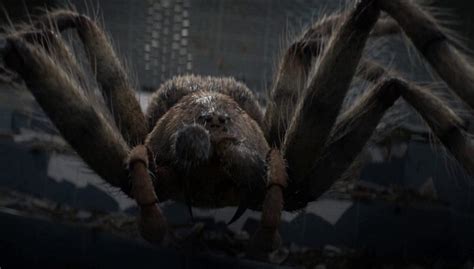 Mother Spider – Doctor Who World