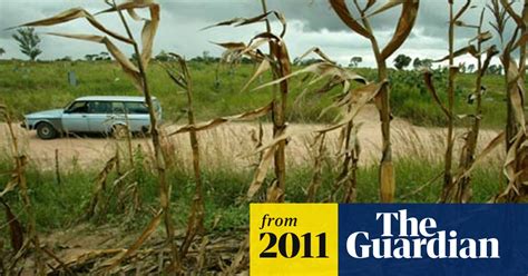 Zimbabwean Women In Court Over Sex Attacks On Hitchhikers Zimbabwe The Guardian