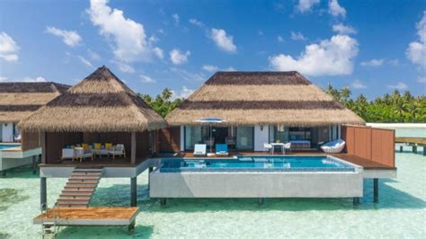 Pullman Maldives All Inclusive Resort Your Guide To The Best Maldives