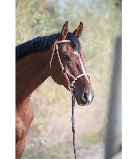 The difference between a hackamore and a rope halter ( or sidepull ). Sidepull Professional - Bitless Bridles - Kramer Equestrian