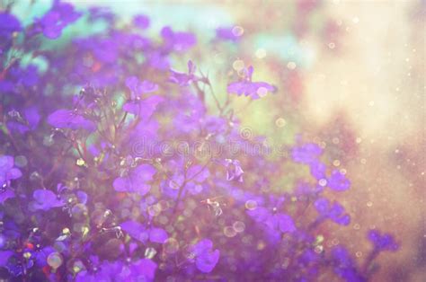 Abstract Image Of Pink And Purple Flowers Bloom With Glitter Overlay