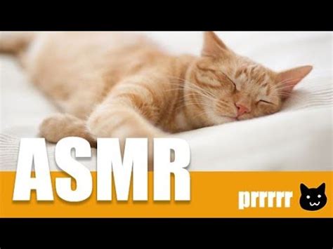 Snuggling up to your furry companion can actually be good for you. ASMR The healing power of your cat's purr CUTEST CAT ...