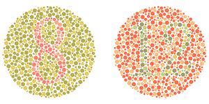 Take the color blind test to find out if you are color blind. Fake Color Blind Test - BLINDS