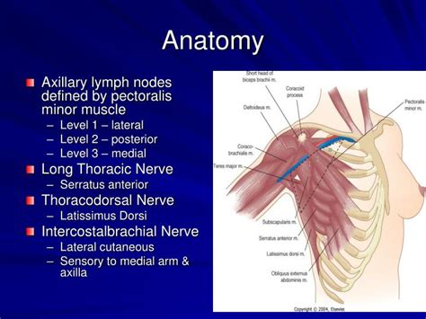 Ppt Benign Breast Disease Powerpoint Presentation Id