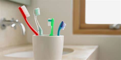 What Happens When You Dont Brush Your Teeth Oral Health Maintenance