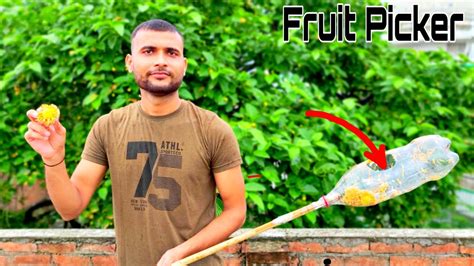 Following this, the picker will also serve the dual benefit of enhancing the beauty of your home and farm area. HOW TO MAKE Fruit Picker at Home | DIY Bottle lagghi - YouTube