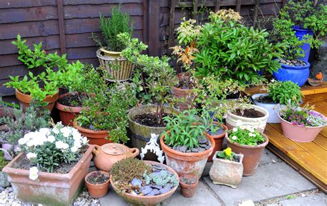The total amount can figure quite high. Tips and Ideas for a Great Summer Garden - Stoney Creek ...