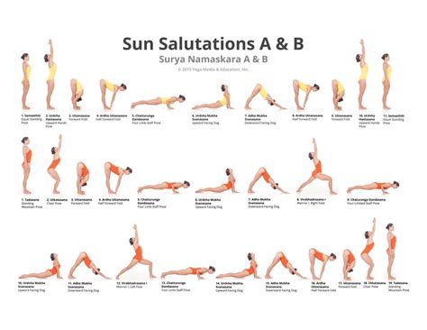 Sun Salutations A B Yoga Poses Poster Workout Poster Sun Etsy