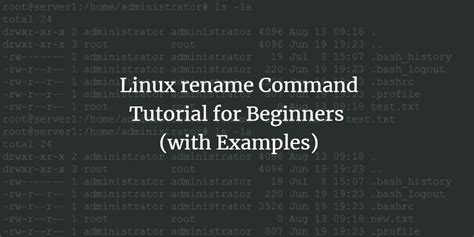 Linux Rename Command Tutorial For Beginners With Examples