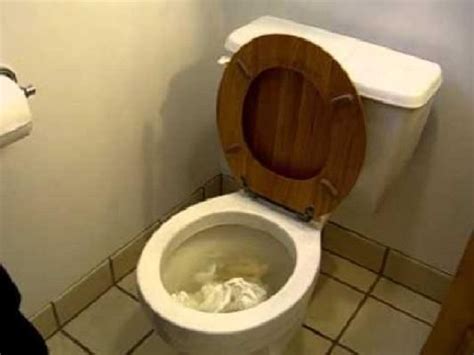 Do you have a clogged toilet and water is flushing slowly in your home and no idea what to do? Home Repairs That You Need To Know How To Do Them Yourself ...