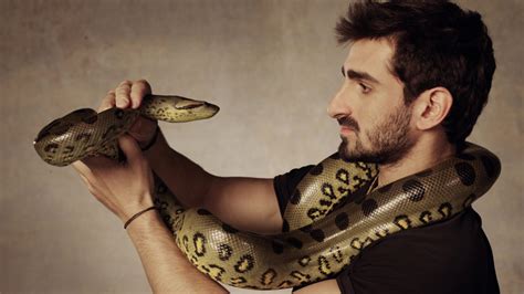 Scientist Tries To Justify The Awful Snake Eats Man Discovery Special