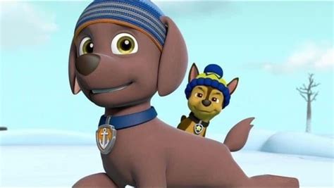 Zuma And Chase By Connorneedham On Deviantart In 2022 Paw Patrol Party Paw Patrol Pups Zuma
