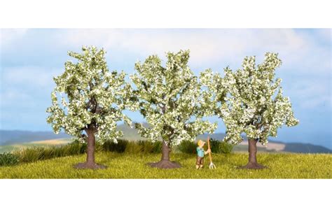 Ha frutti rossi simili a ciliegie, ma all'interno sono come piccoli mandarini ricchi di il melograno è simbolo di fertilità e ricchezza: Noch 25111 Alberi da frutto in fiore 3 pezzi H0-TT - ARTE ...