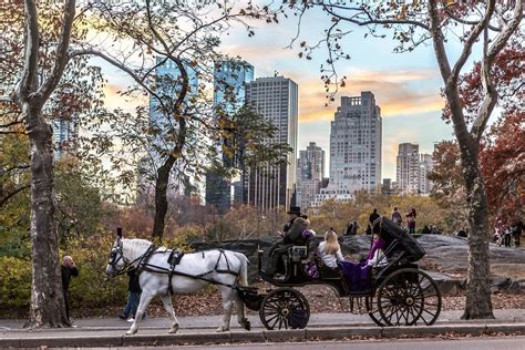 Pricing of the tours include all the processing fees. Central Park Horse and Carriage Rides | Horse & Carriage ...