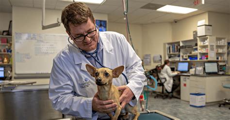 We know that going to the vet can be can be a dreaded event for your pet. BluePearl Veterinary Partners | Jobs and Careers