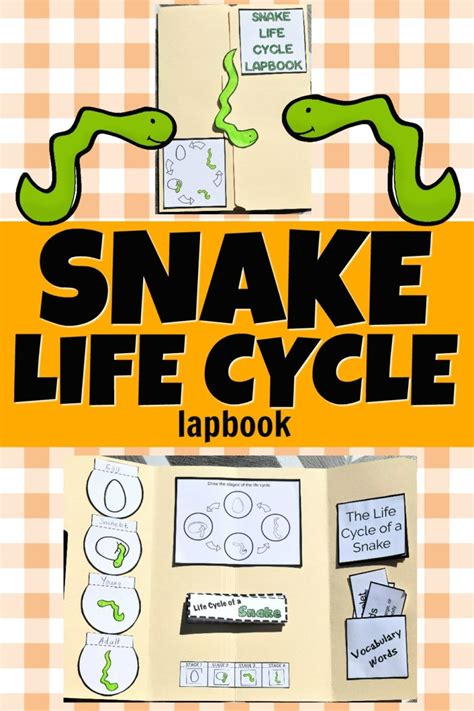 How To Make A Snake Life Cycle Lapbook Sarah Lyn Gay Life Cycles