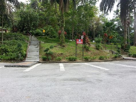 Taman eko rimba kuala lumpur bukit nanas silent vlog 2020. Orang Wangsa Maju: Tangkap Udang Sungai @ Taman Rimba ...