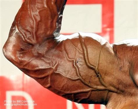 Vascular Bodybuilding Muscle Stop!: Tree Branch like veins in rock hard