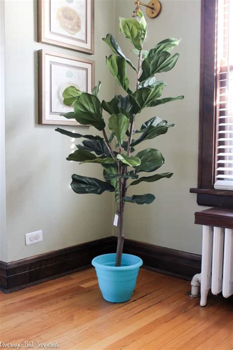 Lack of that lifegiving sunny goodness can turn this indoor tree into a sad shell of a plant with pale. How to Make a Fake Fiddle Leaf Fig Tree Look Real ...