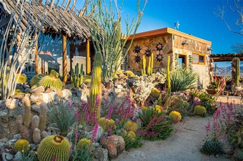 Incredible Joshua Tree Home On 225 Acres Asks 45m Desert Landscaping Joshua Tree Survival