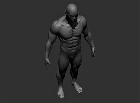 realistic male full body sculpt 3d model cgtrader