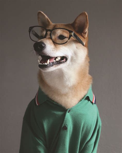 Exclusive Magazine Content What Menswear Dog Says About Fashion Bitches