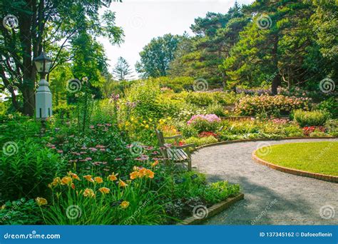 Lush Colorful Garden Path With Park Bench Stock Photo Image Of Lines