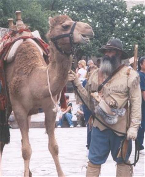 Winner of the award for best mini documentary at the 2020 tribute film festival in abilene, texas. Camels.