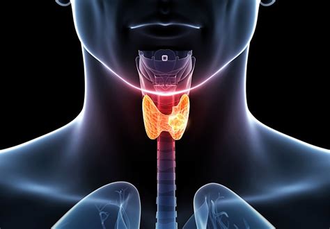Select Thyroid Clinical Trials At Mayo Clinic Mayo Clinic