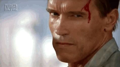 Arnold Schwarzenegger Muscles Gif By Cheezburger Find Vrogue Co