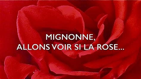 Mignonne Allons Voir Si La Rose Ensemble Musica Domestica Direction