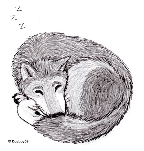 Cozy Sleeping Wolf By Dogboy09 On Deviantart