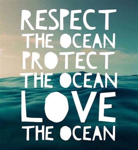 Respect The Ocean Protect The Ocean Love The Ocean Surfing Quotes
