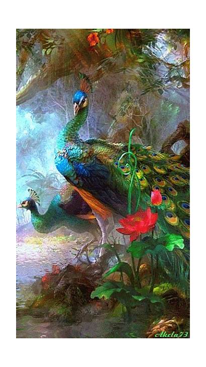 Painting Peacock Webneel Mobile Apple Fantasy