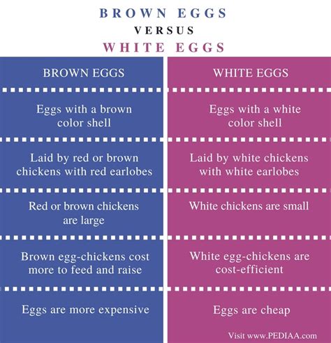 Difference Between Brown Eggs And White Eggs Pediaacom